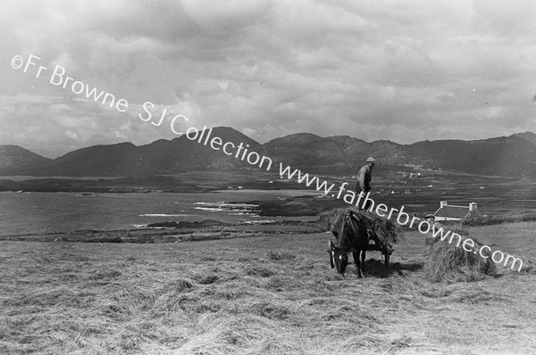 LOUGH ALLEN FROM S. TAKEN FROM DRUMSHANBO TO ARIGNA ROAD WHERE GREAT DAM IS TO BE ERECTED FOR SHANNON SCHEME DEVELOPMENT